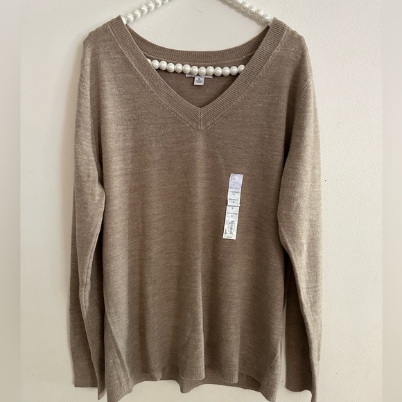 NWT| Nude V Neck Sweater - Picture 1 of 6